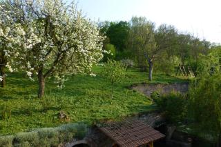 Pod Králičím vrchem - Milovice - 5