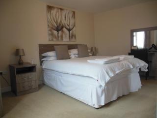 Greyhound Inn - Winterborne Kingston - 2