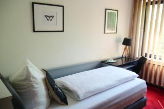 Parkhotel Bergheim - Bergheim - 6