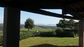Podere Mammoleta - Fattoria la Marsiliana - 4