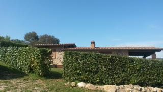 Podere Mammoleta - Fattoria la Marsiliana - 2