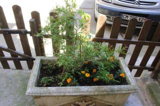 Maison près Cité de Carcassonne - 6