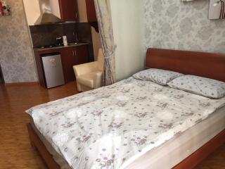 Apartment on Parnavaz Mepe Street - 2