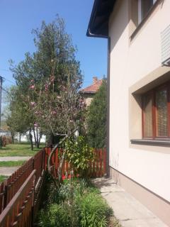 Sweet Dreams Apartment - Aranđelovac - 4