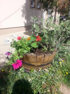 Sweet Dreams Apartment - 3