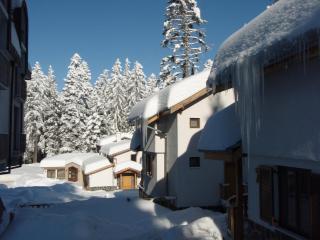 Saint George Holiday Village - Borovets - 3