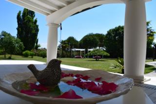 B&B Luna Bianca - Trecastelli - 2