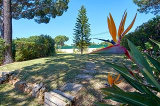 Charming House Vilamoura - Vilamoura - 6