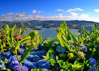 LAGOON'S HOUSE - Sete Cidades - 8