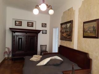Old Town Apartment - Prague - 7