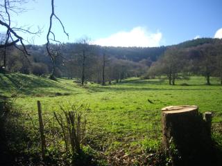 Les chalets d'Alzen - Alzen - 5