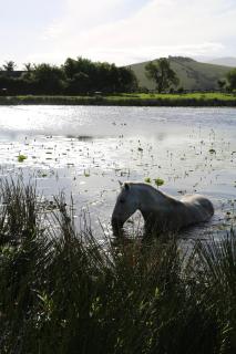 Hakuna Matata Game Farm - Groot Brak Rivier - 6