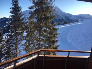 Nassfeld Sonnleitn apartment 2 - Sonnenalpe Nassfeld - 4