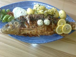 Fischgasthof Aumüller - 4