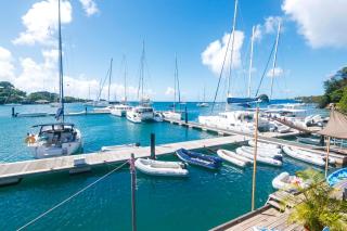 Blue Lagoon Hotel and Marina Ltd - Kingstown - 6