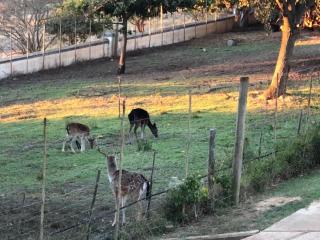 Mosterts Hoek Guest House - Romansrivier - 6