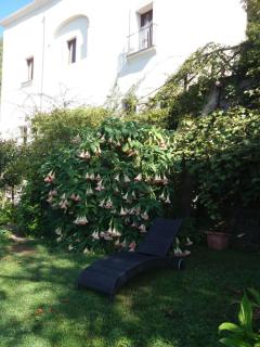 Pietra Rosa - Tramonti - 3