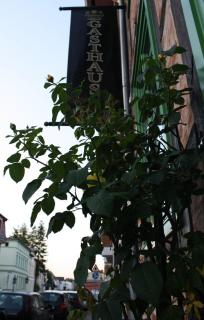 "Zum Heiligen Geisthof" - 6