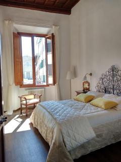 Wonderful View Carmine - Florence - 7