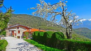 Casa Belvedere Garden by Gardadomusmea - Tremosine - 9