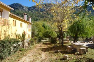 Fuente de la Yedra - Arroyo Frio - 3