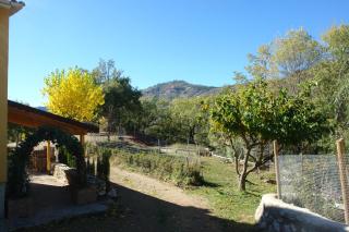Fuente de la Yedra - Arroyo Frio - 1
