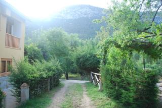 Fuente de la Yedra - Arroyo Frio - 8