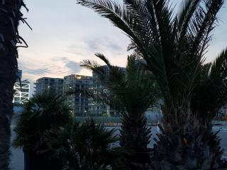 The Horse - DE SILVA Residence - Mamaia - 5
