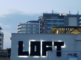 The Horse - DE SILVA Residence - Mamaia - 1