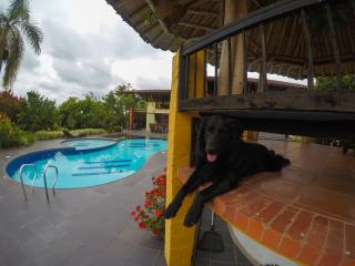 Finca Hotel La Quinta Porra - 1