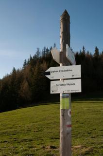 Apartament Zakątek Miętusi - 9