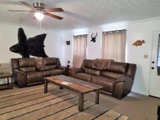 KY Lake Area Cabin - Aurora - 0