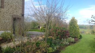 Au Jardin Des Violettes - 3