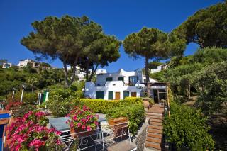 Hotel Don Felipe - Ischia - 0