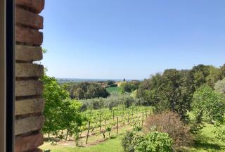 Agriturismo La Leccia - Bibbona - 4