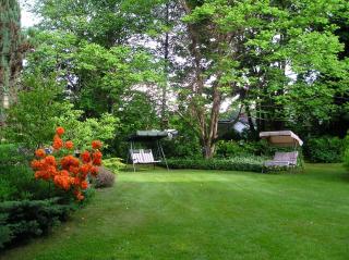 Cedar Wood Lodge Bed & Breakfast Inn - 1