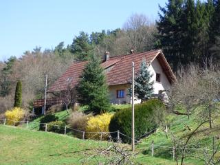 Les Cerisiers - Villé - 0