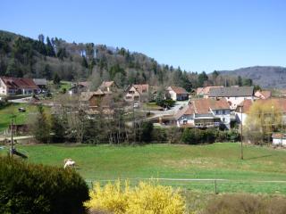 Les Cerisiers - Villé - 5