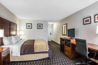 Best Western Plus Greenville I-385 Inn & Suites - Greenville - 1