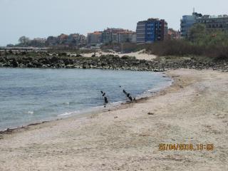 Синият залив - Pomorie - 1
