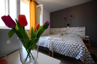 Nora Rooms - Zadar - 4