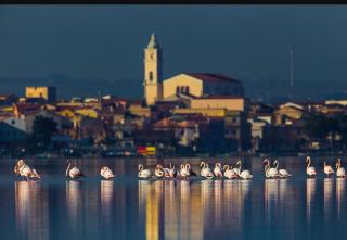 Casale Villa Giulia Marina di Lesina - Lesina - 4