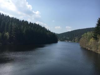 Weitblick - Sankt Andreasberg - 7