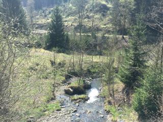 Weitblick - Sankt Andreasberg - 5