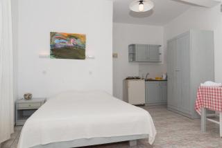 Captain Manos Studio Apartments - Grikos - 5