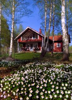 Cottage "Rådjuret" - Finström - 6
