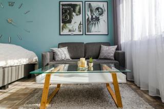 Gepflegte und moderne Ferienwohnung in der Neuseenlandschaft - Neukieritzsch - 8