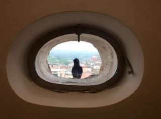 La Casa nel Borgo Antico - Melfi - 3