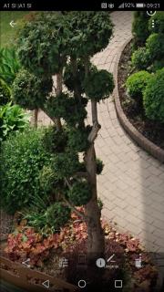 Angel's Nest Apartment - 2