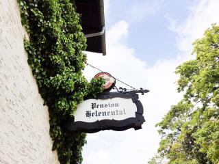 Helenental Pension & Apartments - Baden - 9